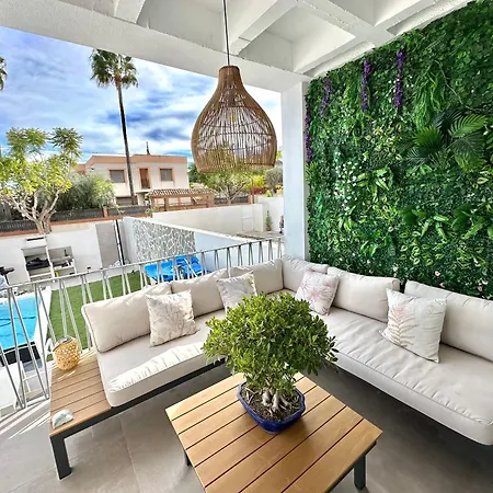 Thierryanet Alicante * 무트자멜